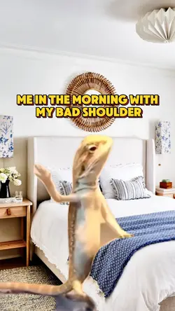 Sore lizard 
