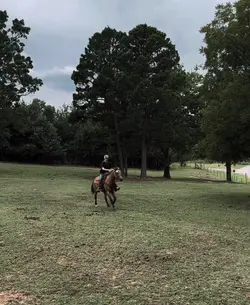 Pony training