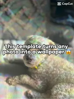 AI messing my dog 🥲