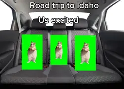 Road trip!