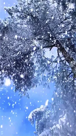 Snowfall