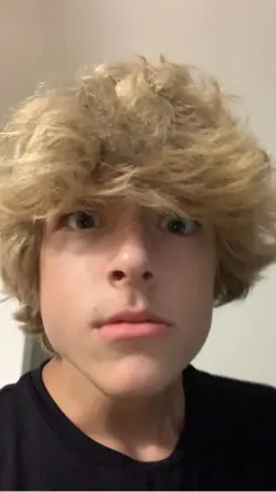 taco