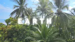 Our earth ❤️🌎
