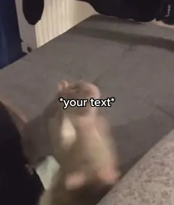 Rats