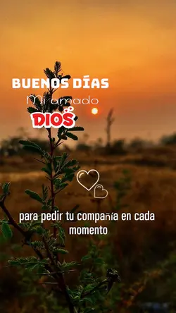 Buenos días ✨🙏❤️