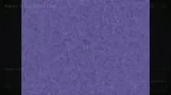 Effects 1