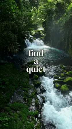 Mindful Meditation 