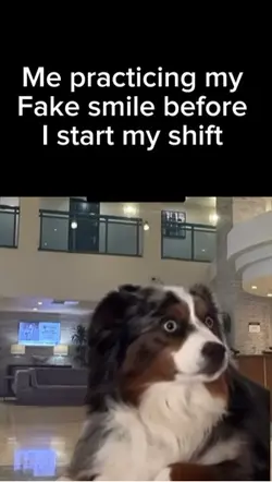 Add a text to video