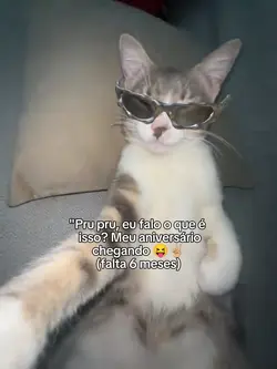 Pru pru