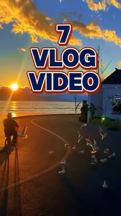 7  clips Template 