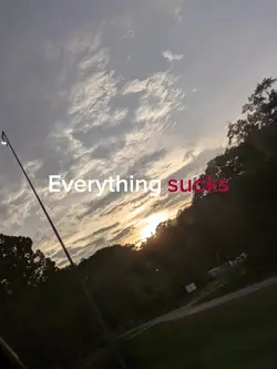 everything sucks