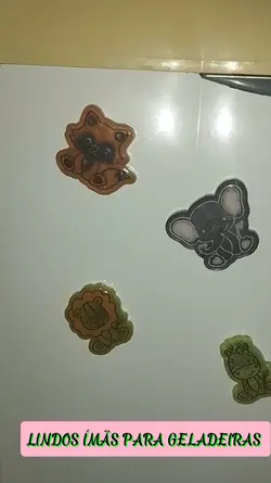 imãs geladeiras 