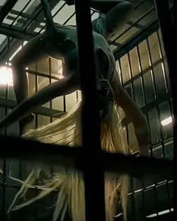 Harley quinn