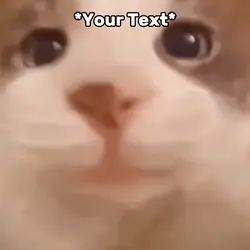 Kiss Meme