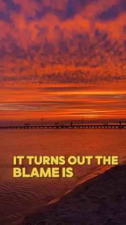 Blame On Me