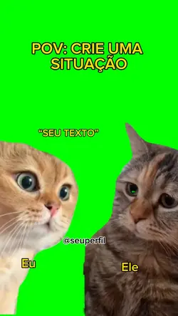 Meme gato falando