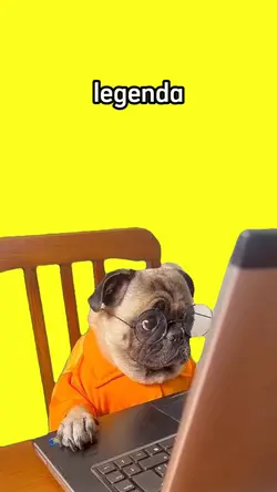 cachorro meme