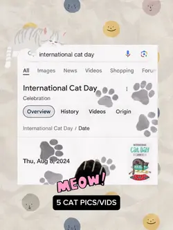 cat day 2024 🐱