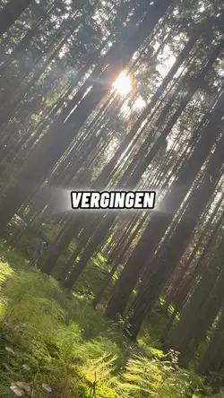 Deno301-Nur an Dich