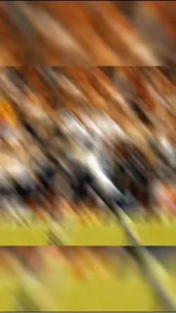 Bengals edit