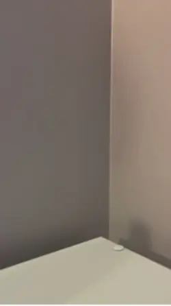 Bubble 