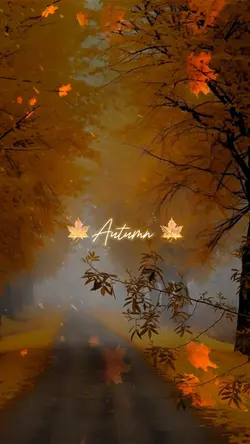 Autumn 2024