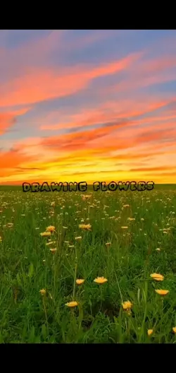Drawing flowers 