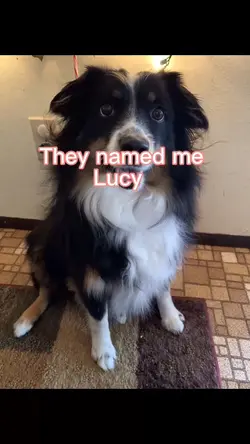 Lucy