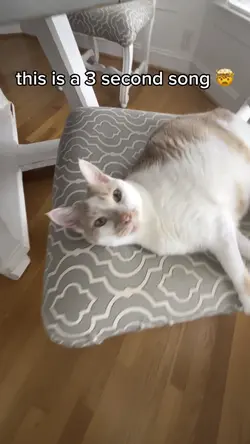 this is a 3 second