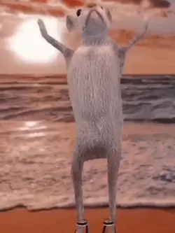 HEHE