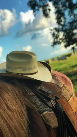 Viva a vida 