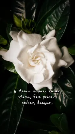 A Música inspira