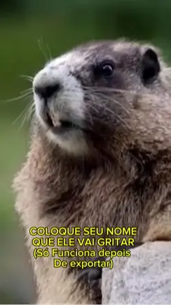 Gritando seu nome 