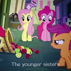 Mlp edit