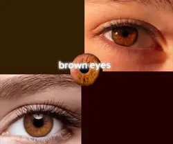 Brown Eyes