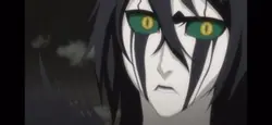 Ichigo vasto lorde