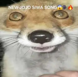 new jojo siwa song