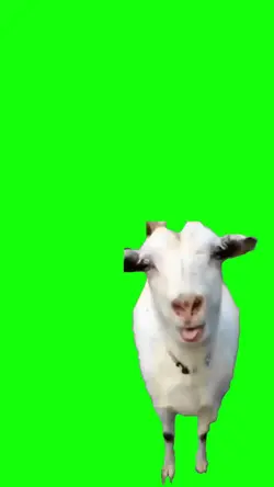 bode viral