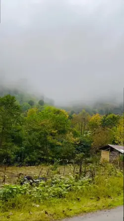 چاووشی|طبیعت|