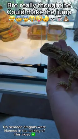 He thought he could
