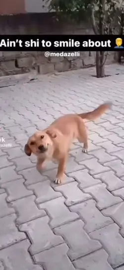 Bro why is u smiling