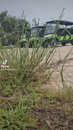 #golfcartsoftexas