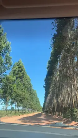 Road Trip