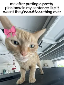 𝓯𝓻𝓮𝓪𝓴𝔂 buidness
