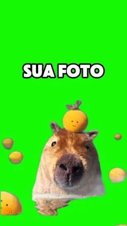 Capivara 