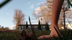 cartwheel 