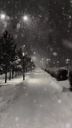 Snowfall velocity