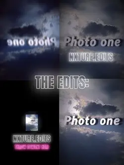 The editor