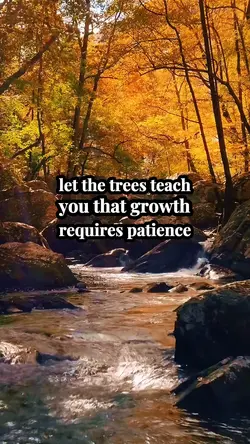 Lessons 