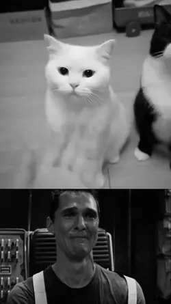 crying CC-HD